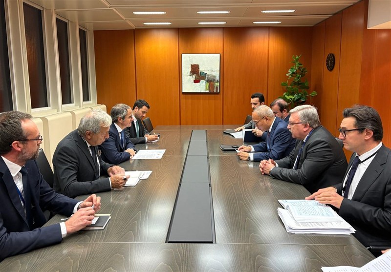 دیدار نمایندگان ایران، روسیه و چین با گروسی پیش از نشست شورای حکام